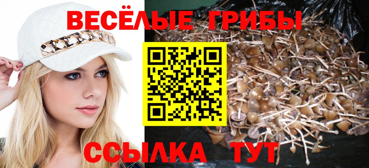 Бошки Шишки  Вход с VPN  Мефедрон кристаллы  Долгопрудный  Гашиш  КОКАИН  АМФ  