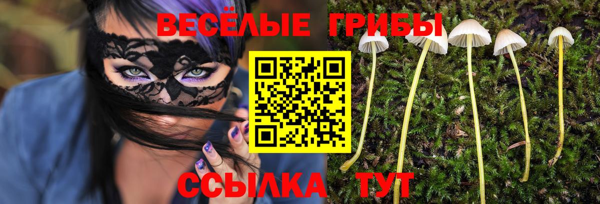Долгопрудный  Галлюциногенные грибы Cubensis  Галлюциногенные грибы Psilocybe  Вход с VPN 